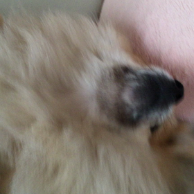 いつまで続くの？の画像