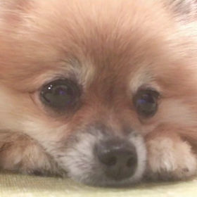 今日も楽しかった❣️の画像