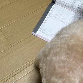 今日は発表会の画像