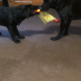 ナツアキ18日目の画像