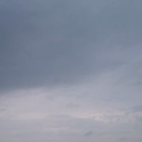 ひまわりまつり動画3の画像