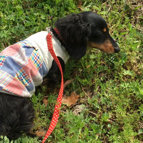 新しいお洋服で❤︎の画像