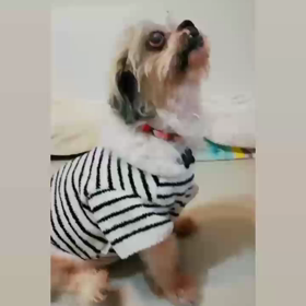 頑張ってるコの画像