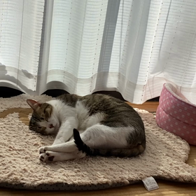 そろそろですかの画像