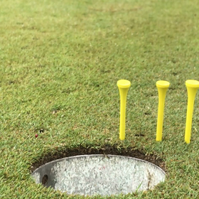 フックラインどこから入れますか？の画像