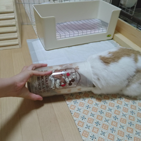 食いしん坊メルモの画像