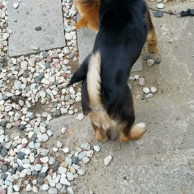 お姉ちゃんの画像