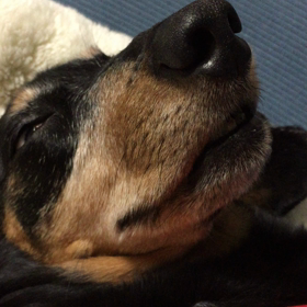 シンクロの画像