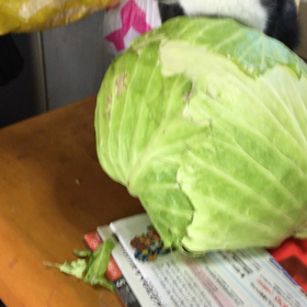 今日は野菜の日の画像