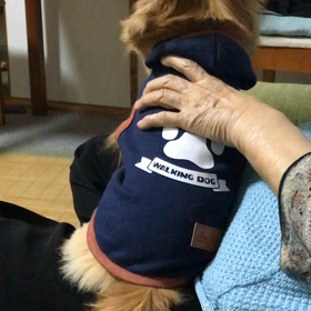 マッサージの画像