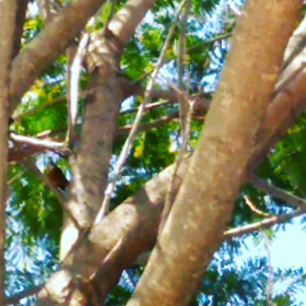 ブラジルに来て2年が経ちました!!初参加者様より感想を頂きました!✨の画像