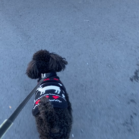 口の中になにやらの画像