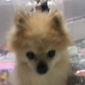 背中を痛めちゃいました。の画像