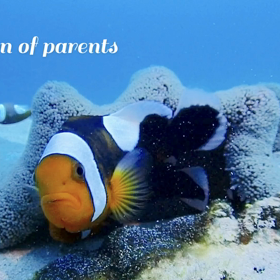 マクロが楽しい一日でした！の画像