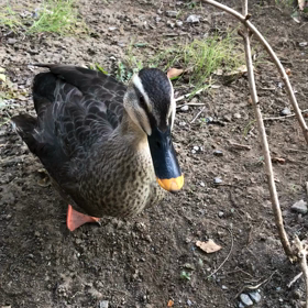 2月スタートの画像