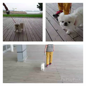 台風来るな‼の画像