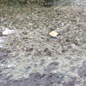 今日の天川の画像