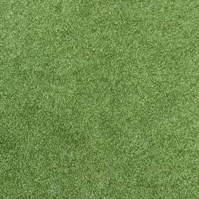 9/1(水)幼児クラス　レッスン動画！の画像