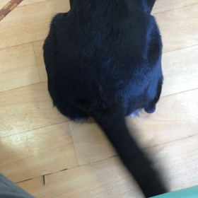 病院が大好きな結果★動画の画像