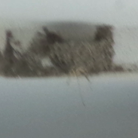 私とツバメと新しい巣の画像