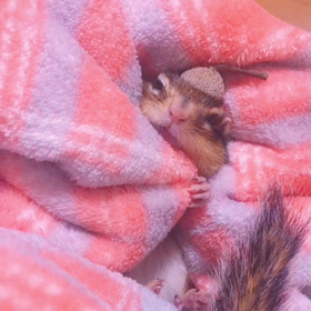 ももたんもプチプラ秋冬コーデ♡の画像