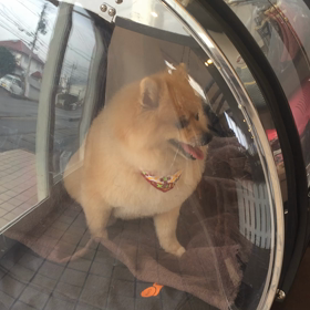 ◼️1/4〜1/10＊酸素カプセルご利用のお友達◼️の画像