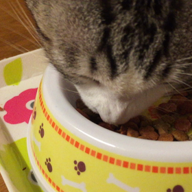 起きてすぐ飯の画像