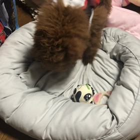 何が起こったの〜？の画像