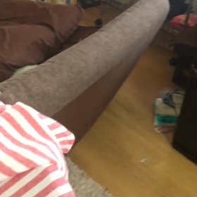 大掃除中は猫も大忙しの画像