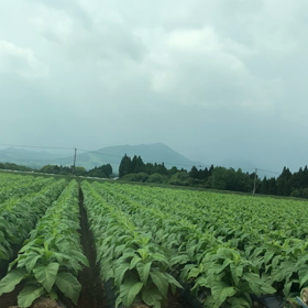 引っ越しの画像