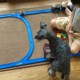 wasabiさんの動画①の画像