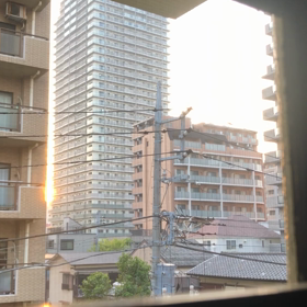 動画／ニシビの画像