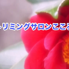 1月　〜スライドショー〜の画像