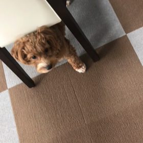 不思議がいっぱい　その１の画像