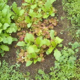 新しい時代の幕開け!!の画像