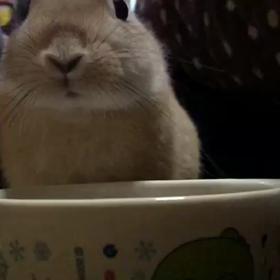 スローモーションの画像