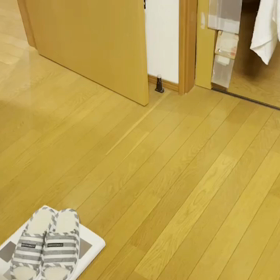 ぽてタマの画像