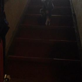 階段昇りの画像