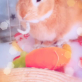 天使の気分の画像