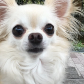 連休最後の日の画像