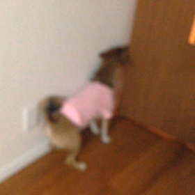 2015年11月6日の画像