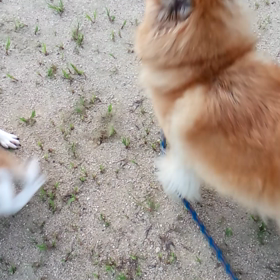 輪の中に入ってる？の画像