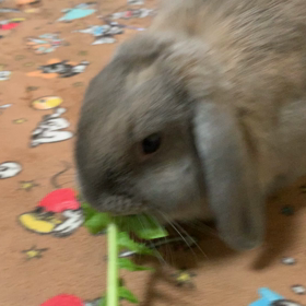 たまにカメラ目線の画像