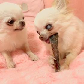 ▷カミカミTime◁の画像