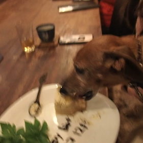 ケーキにがっつく(ﾟωﾟ)恥の画像