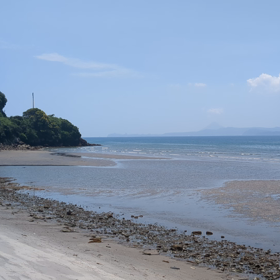 久しぶりに見た遠浅の錦江湾の画像