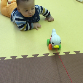 早い❗️速い❗️の画像