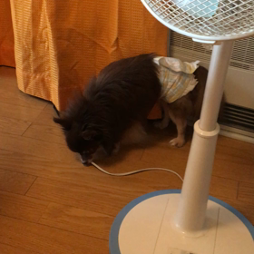 ☆あぶない事には(*｀Д´)ノ ！！！☆の画像