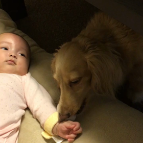 可愛いすぎるの画像