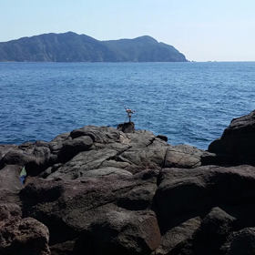 久しぶりの地磯❕の画像